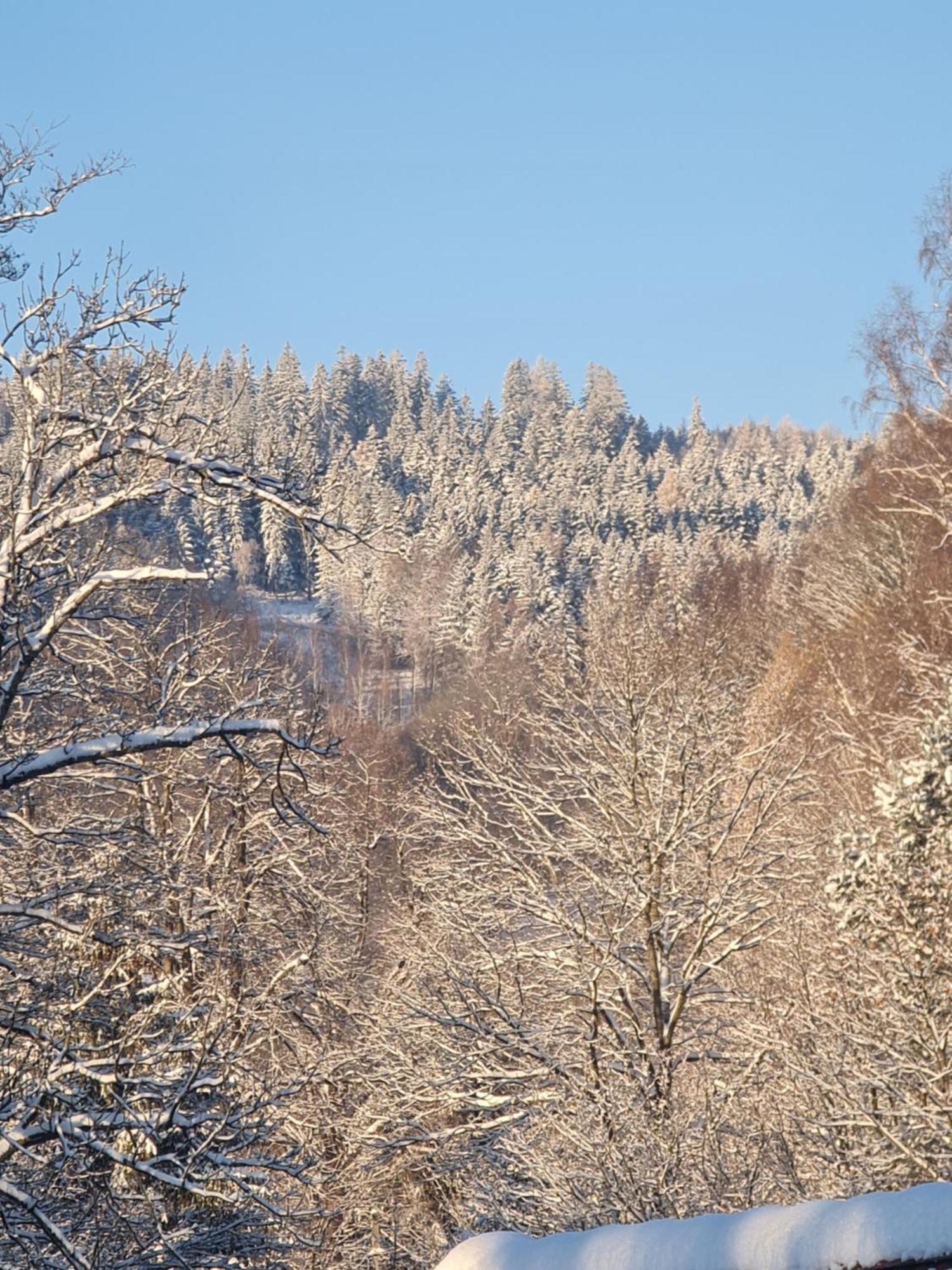 Sieraton Pokoje I Apartament Stronie Śląskie 外观 照片